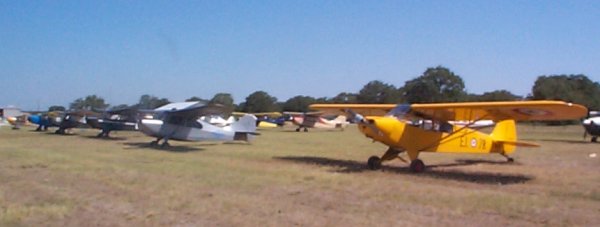 L-Bird row