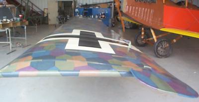 Top wing covered
